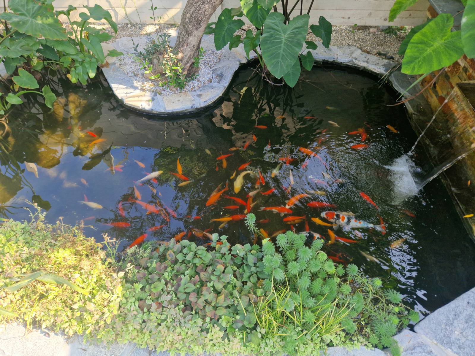 Magasin Natur'Bassin