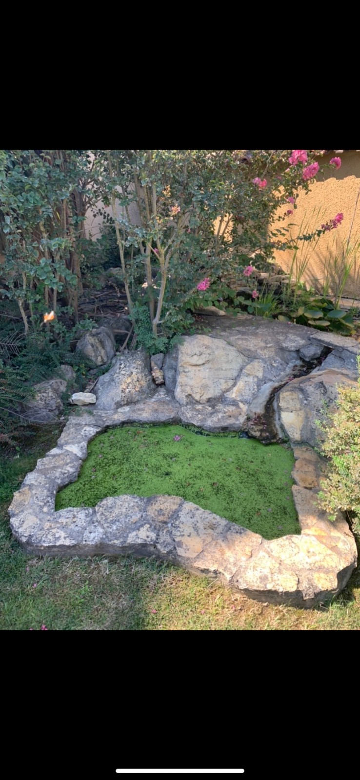 Petit bassin à poisson à coté d'Avignon