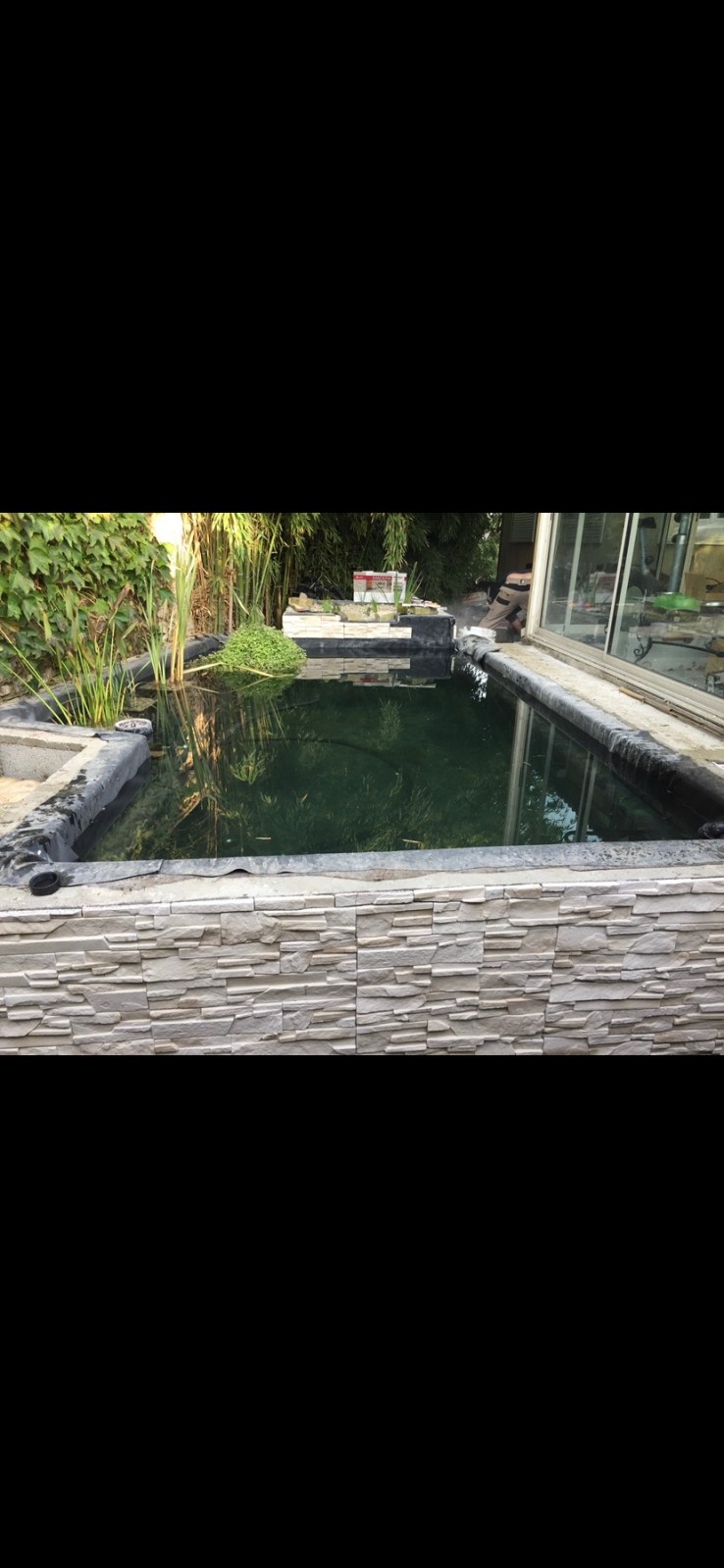 Aménagement d'un bassin à poisson Marseille