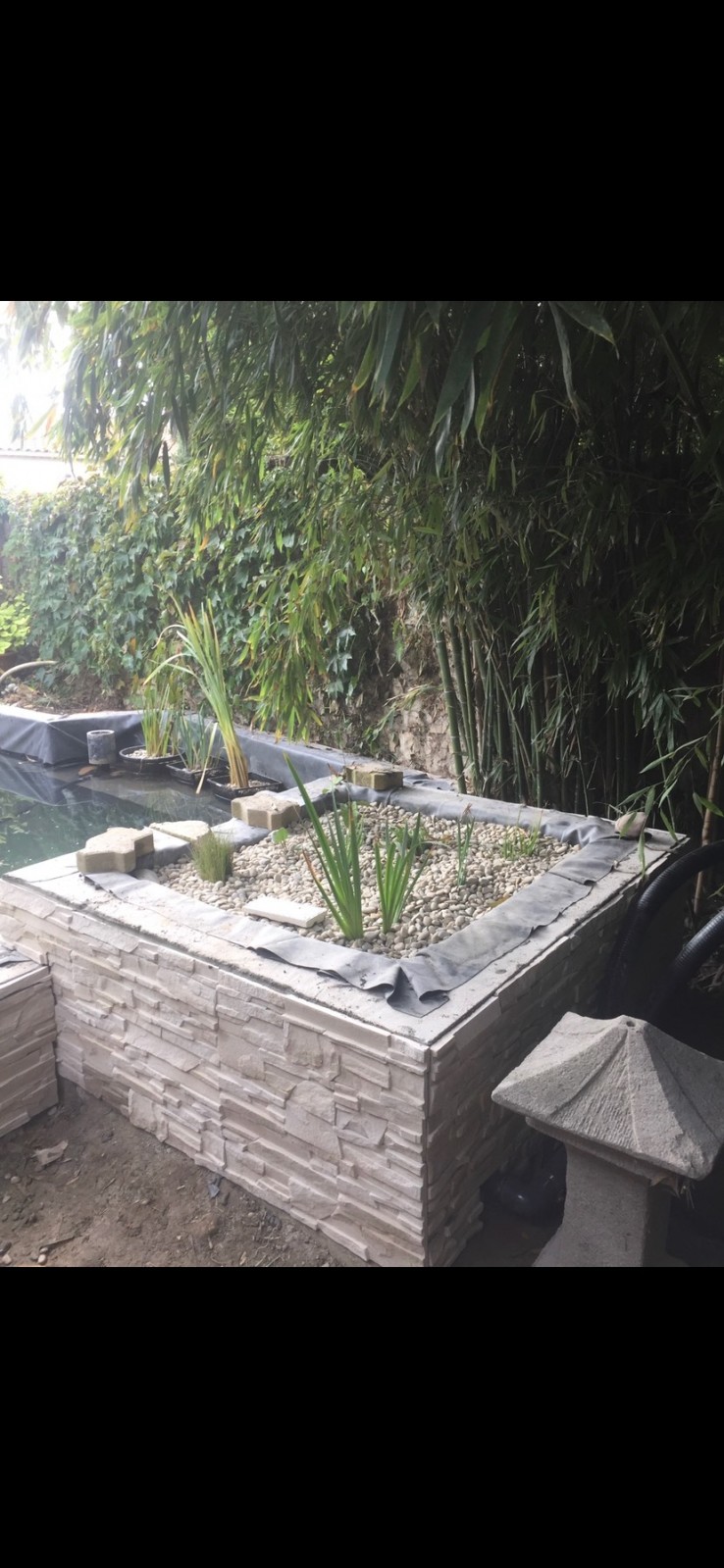 Rénovation d'un bassin à poisson bouches du Rhône