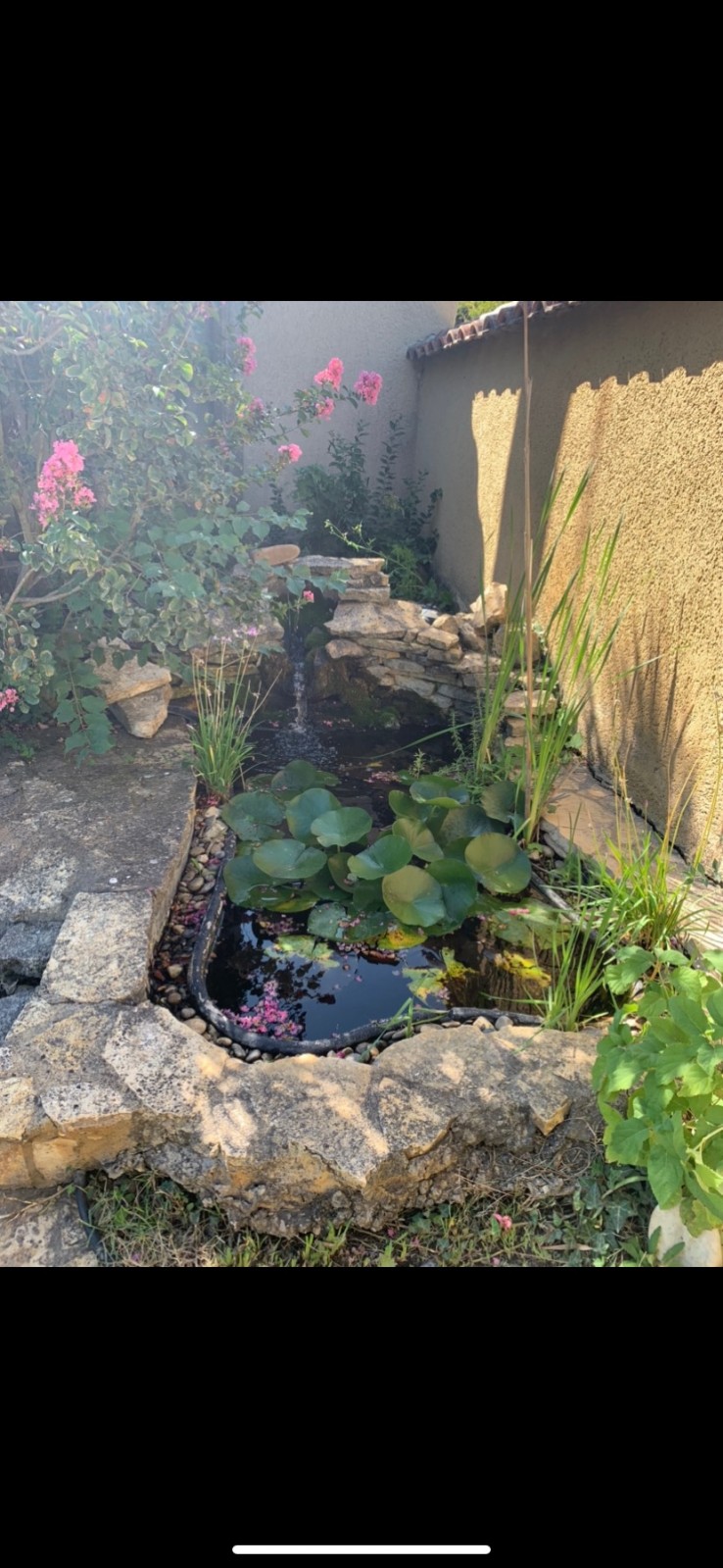 Bassin à poisson décoratif dans le Vaucluse