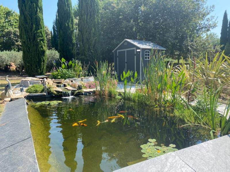 Bassin à carpe Koï Par Natur'Bassin