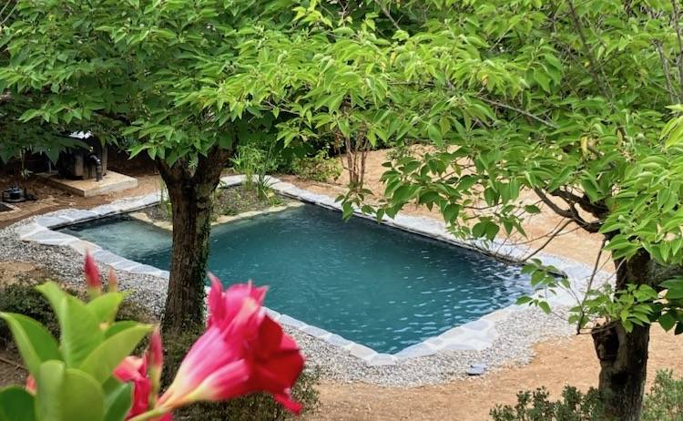Création d'un petit bassin de baignade naturel avec filtre tambour dans le Gard