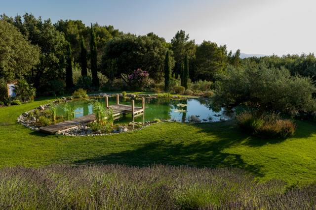 Construction d'une mare naturelle pour jardin à Avignon et dans le Vaucluse