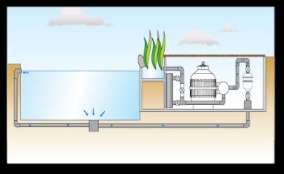 concept piscine naturelle