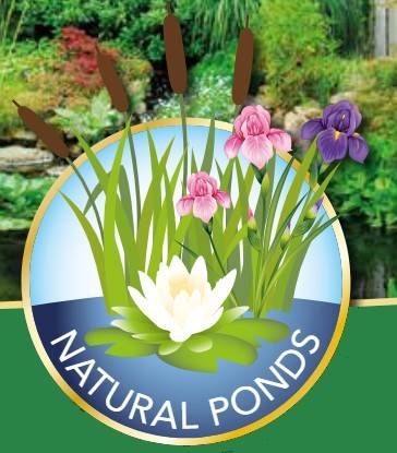 Construction d'un bassin d'ornement avec cascade près de Cavaillon