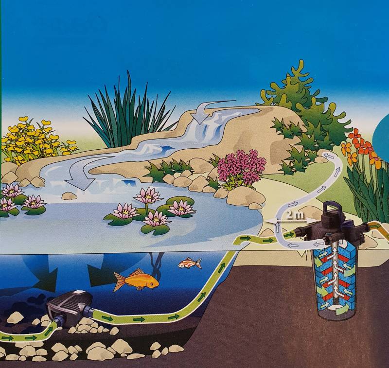 Filtration bassin Oase Avignon