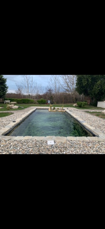 Conception d'une piscine naturelle Avignon