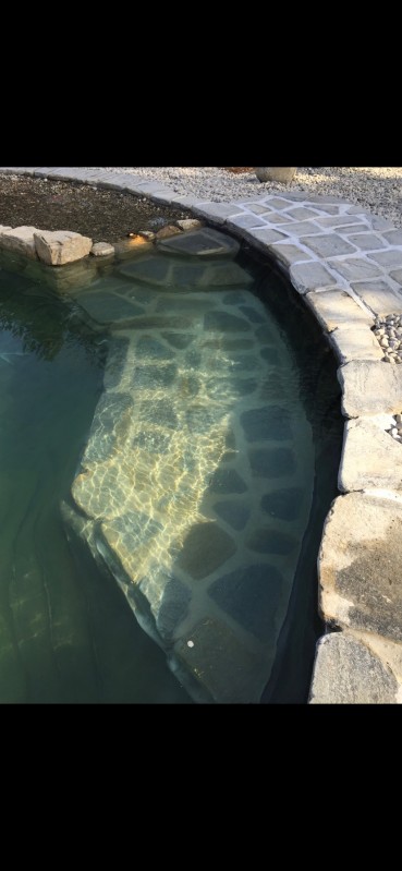 Bassin de baignade réalisé par Natur'Bassin