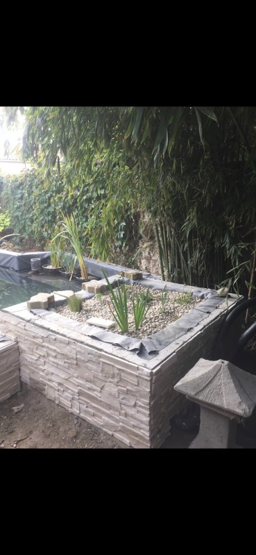 Rénovation d'un bassin à poisson bouches du Rhône