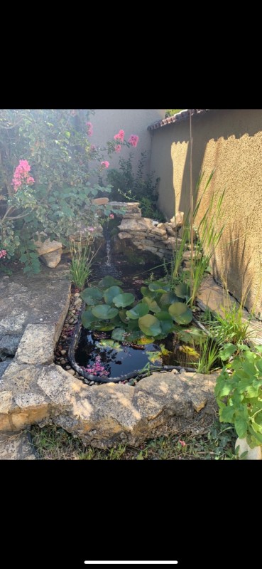 Bassin à poisson décoratif dans le Vaucluse