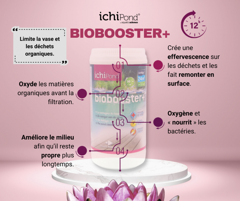 Biobooster + Avignon
