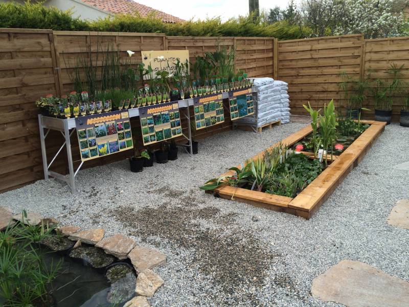 Un paysagiste aquatique en région PACA ET LANGUEDOC ROUSSILON