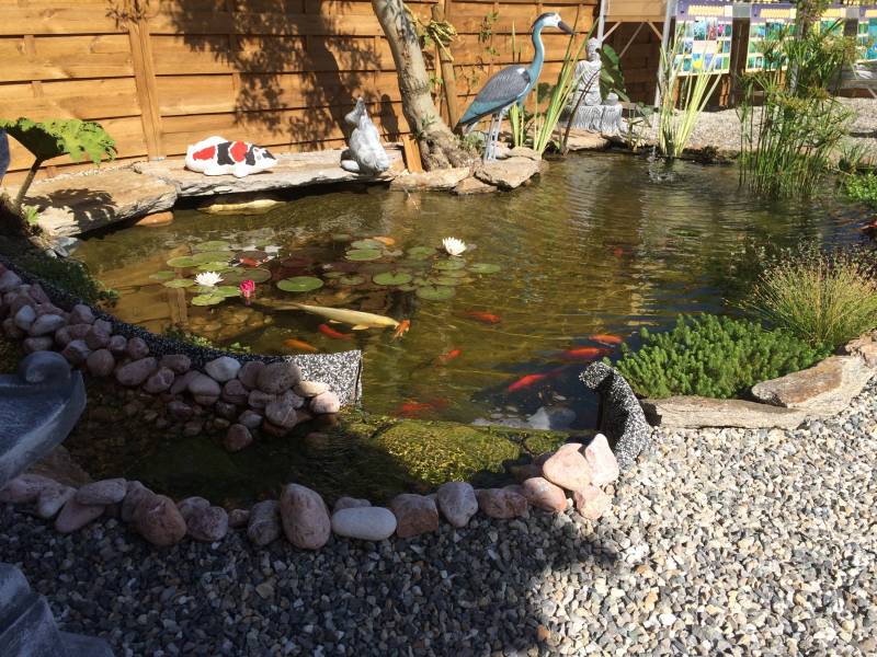 Un paysagiste aquatique en région PACA ET LANGUEDOC ROUSSILON