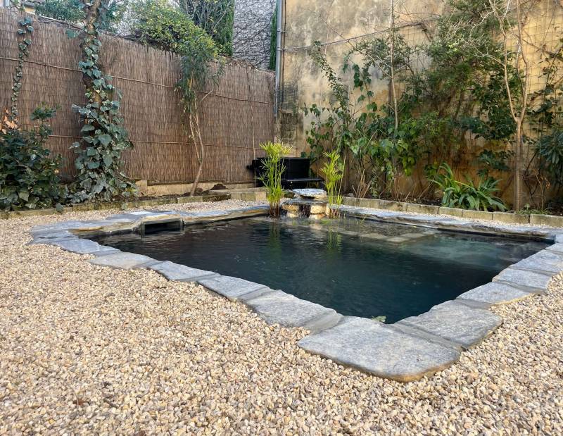 Bassin de baignade naturel dans un tout petit jardin dans le Luberon