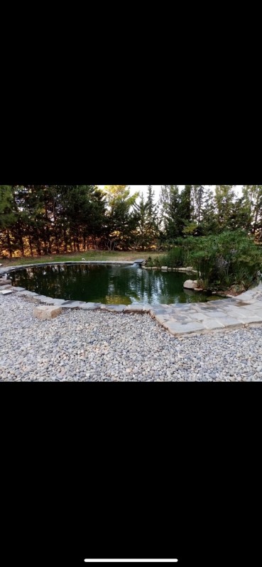 Création piscine Naturelle Vaucluse