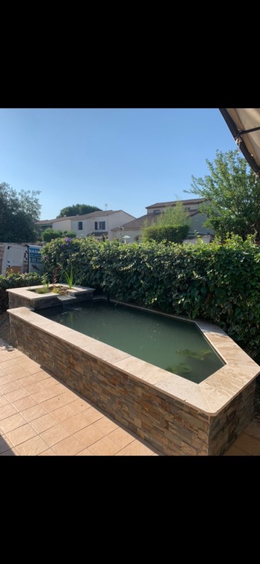 Bassin à poisson semi enteré