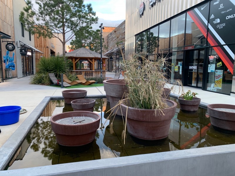 Shopping promenade Arles