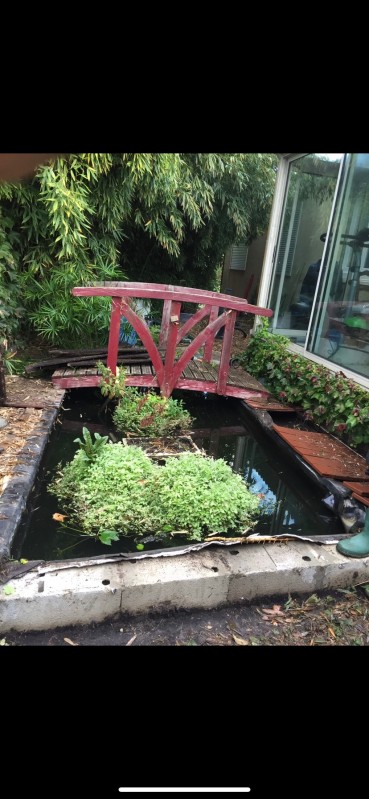 Bassin à poisson Bouches du Rhônes