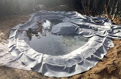 Pose de la bâche d'un bassin à poisson