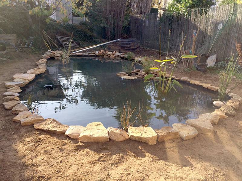Création d'un bassin à poisson dans les Bouches Du Rhône