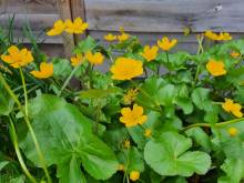 Nos prestations sur le secteur de proche d'Arles et dans le 13