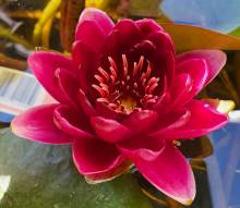 Nos prestations sur le secteur de près de Cavaillon