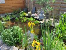 Nos prestations sur le secteur de près de Cavaillon