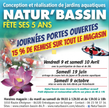 Notre zone d'activité pour ce service Entreprise spécialisée dans la rénovation de bassin naturel près de Cavaillon