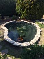 Notre zone d'activité pour ce service Création de bassins de baignade naturels sur-mesure à Avignon et dans le Vaucluse