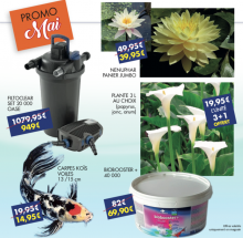 Notre zone d'activité pour ce service Entreprise spécialisée dans la rénovation de bassin naturel à Avignon et dans le Vaucluse