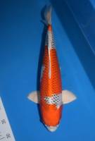 Notre zone d'activité pour ce service Création de bassins de baignade naturels sur-mesure près d'Apt et dans le Luberon