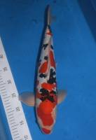 Nos prestations sur le secteur de à Avignon et dans le Vaucluse