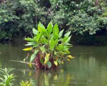 Nos prestations sur le secteur de près de Marseille et dans les Bouches-du-Rhône